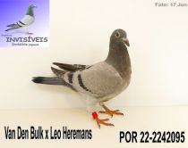 POR 22-2242095